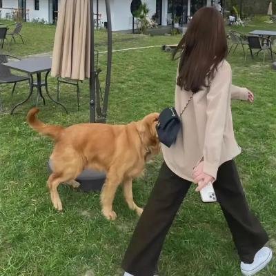 绝代艳宝莲的一生